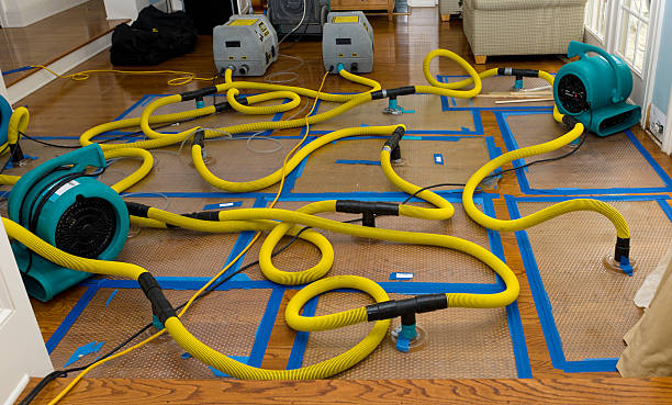 Professional Sewage Cleanup technician working in Fowlerville, MI